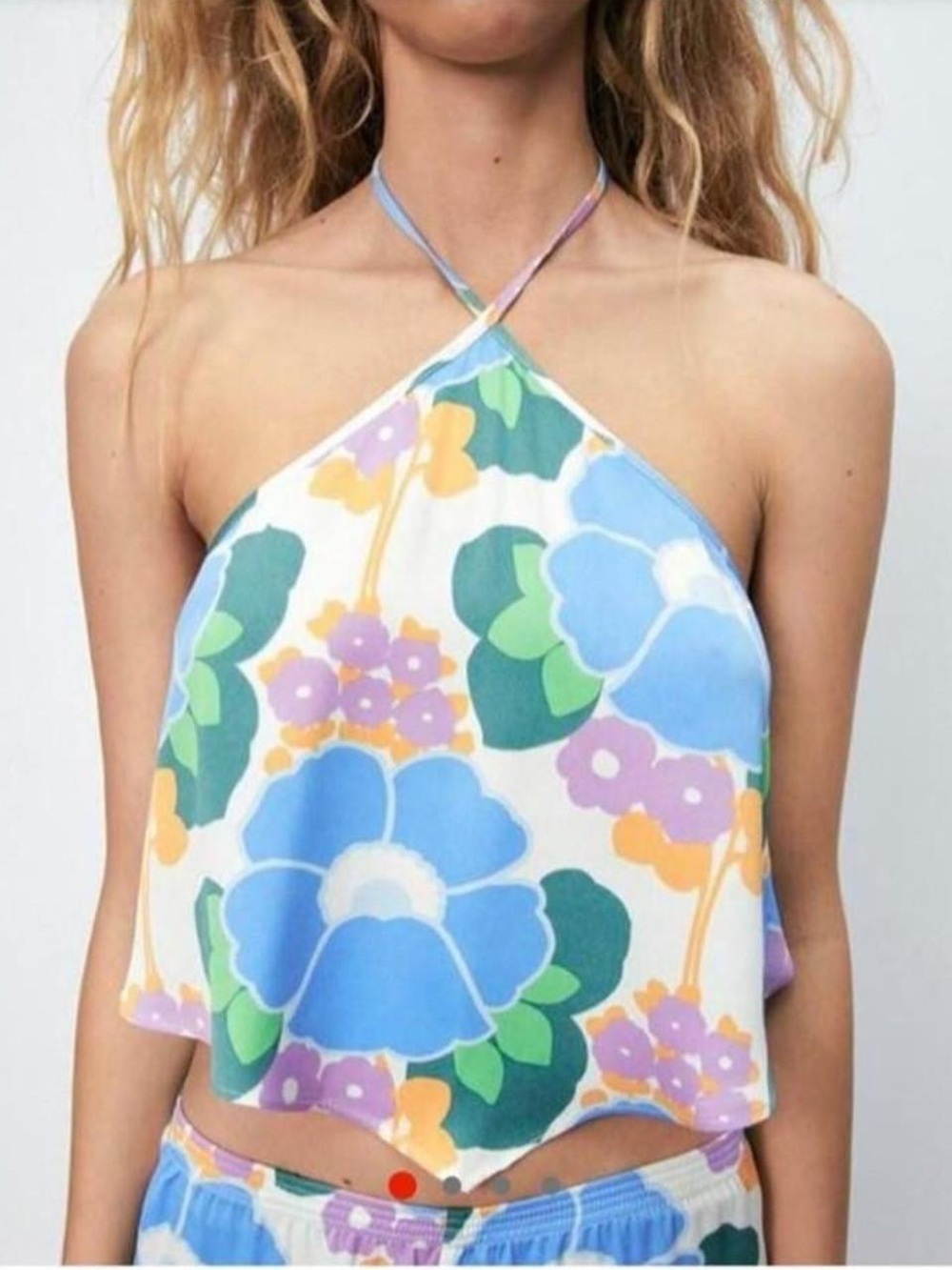 Zara Floral Halter Crop Top
